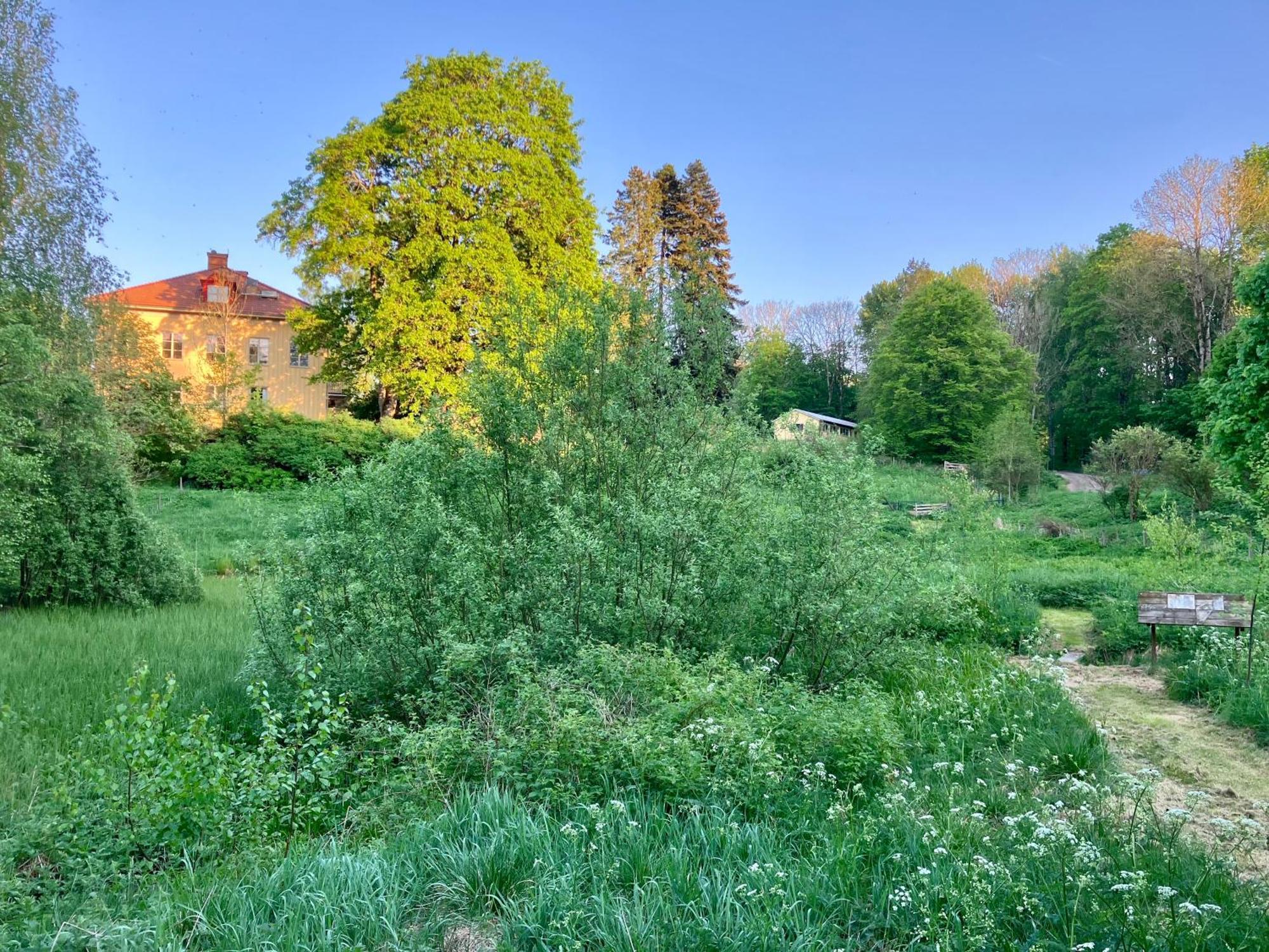 Lidhem Herrgard. Bed & Breakfast Och Mindre Lagenheter Vimmerby Exterior photo